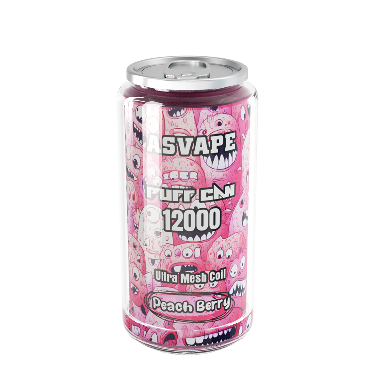 PUFF CAN 12000 - asvape
